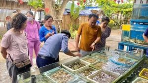 Du khách chọn hải sản tại bể tại nhà hàng Rạng Đông
