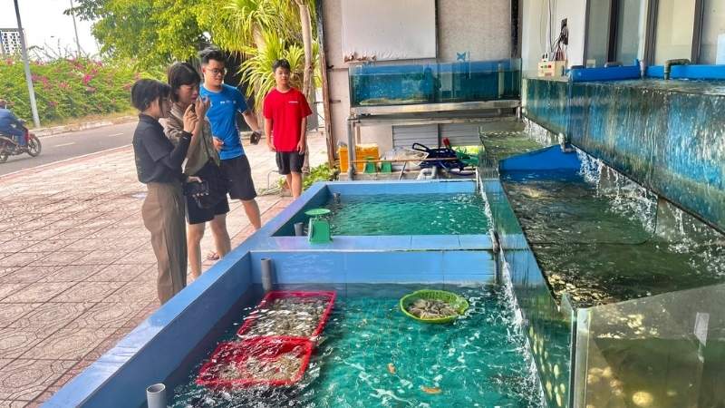 Thực khách lựa nguyên liệu hải sản tươi sống tại nhà hàng Vịnh Xanh